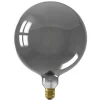 Lichtbron Kalmar Titanium E27^Trendhopper Outlet
