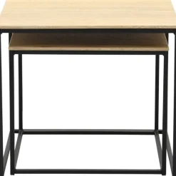 Salontafel Sienna set van 2^Trendhopper New